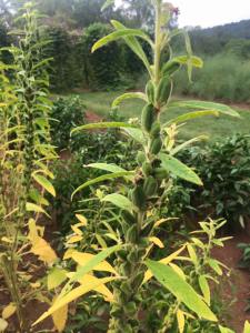 14292391_10103112083406701_8627643288513705313_n